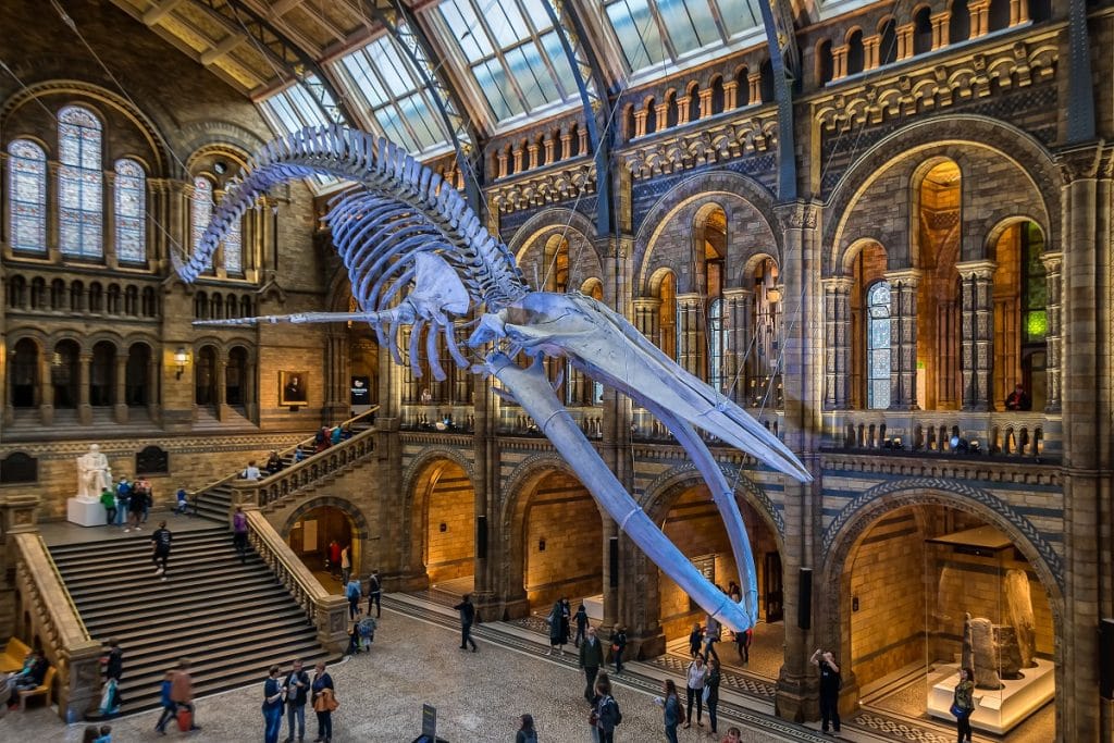 Museum of London Interior